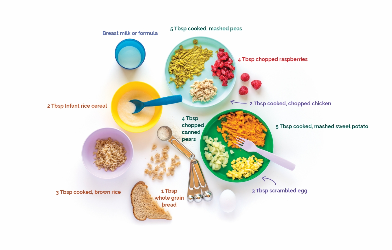 8-9 Month Proteins