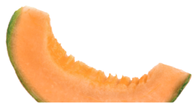 cantaloupe