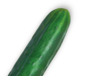 cucumbers