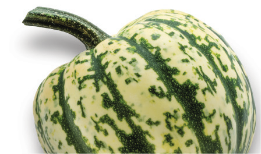 Squash